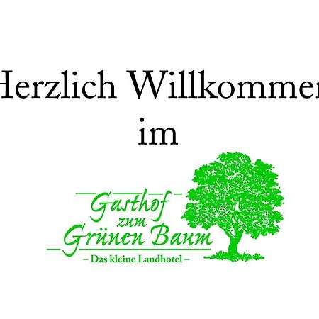 Landhotel Gruener Baum Westendorf  Екстер'єр фото